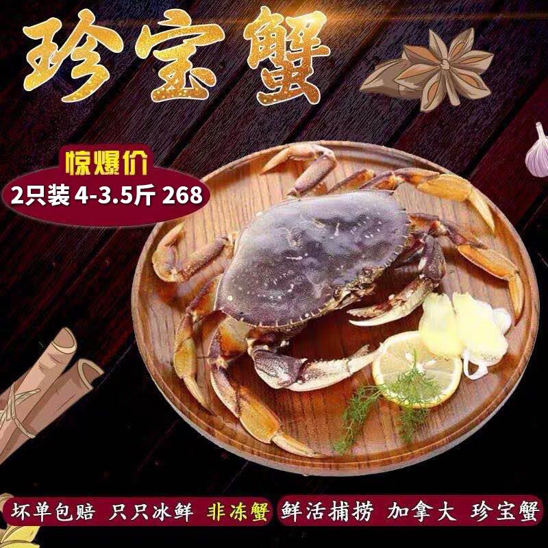 冰鲜速冻加拿大珍宝蟹