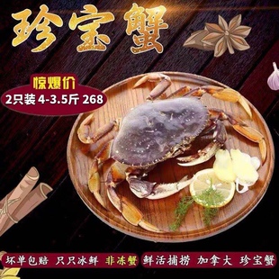 速冻冰鲜珍宝蟹4斤2只进口新鲜大螃蟹顺丰包邮中国大陆上海发货