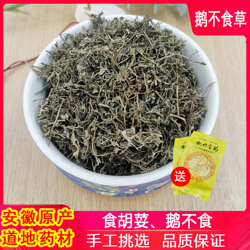 500g鹅不食草中药材鹅不吃草野生新鲜干草粉末鹅不食草粉饿不食草