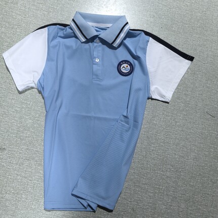 文登校服小学夏季短袖上衣冰丝面料