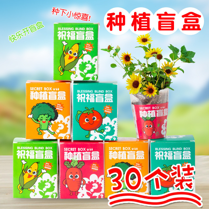 实用儿童DIY种植盲盒幼儿园科学观察实验小礼品礼物三年级小学生