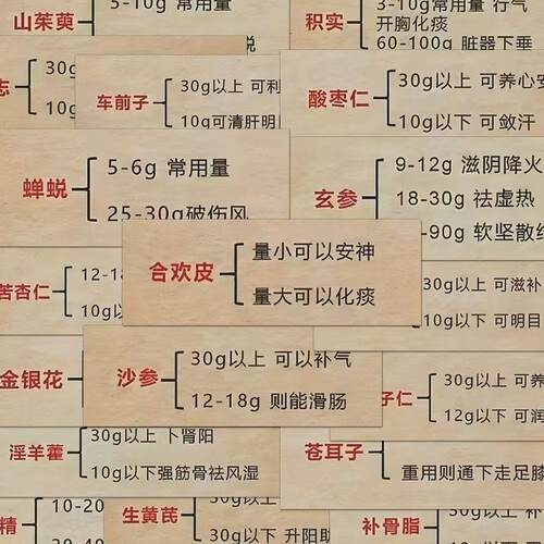 中医药学习文字贴纸考研手帐笔记