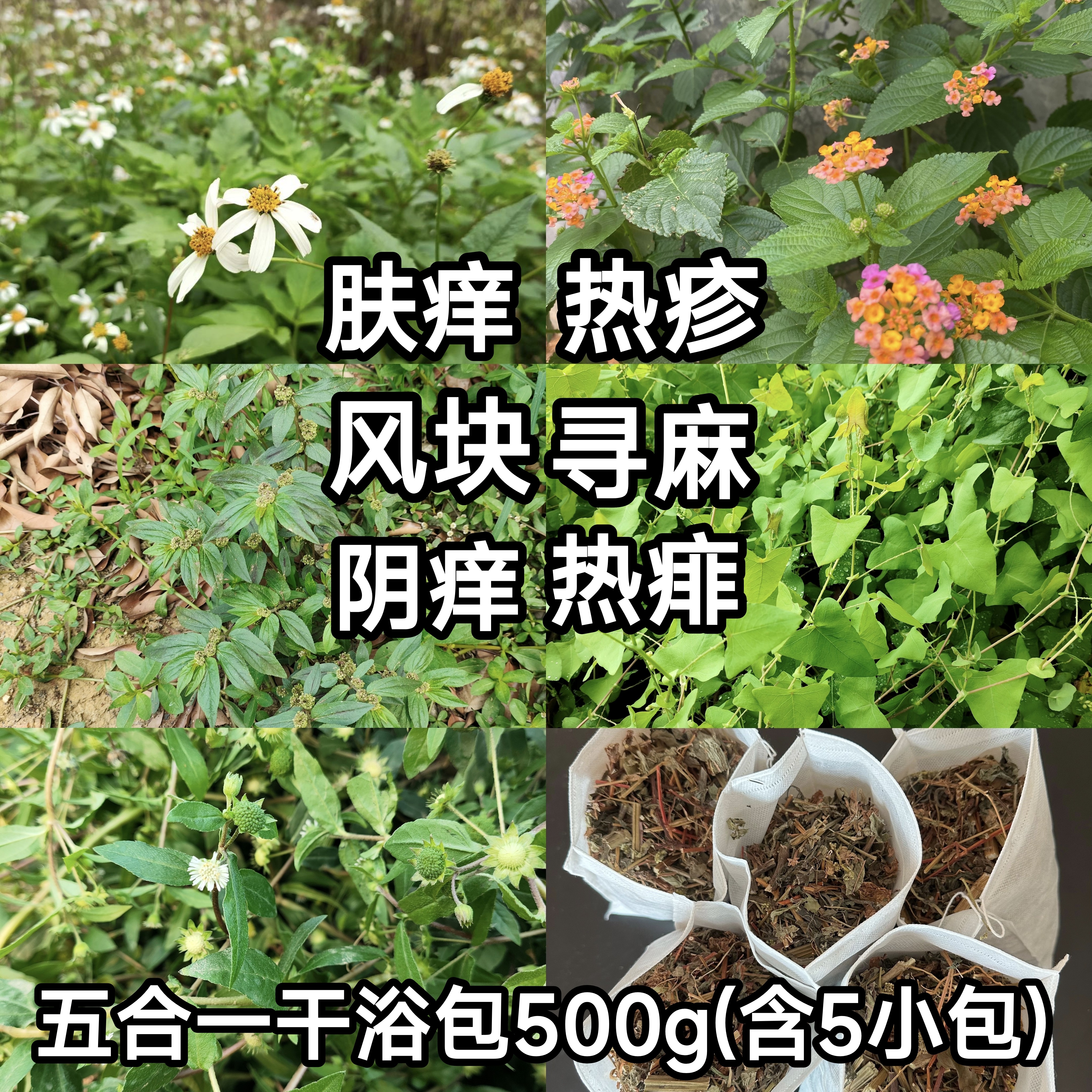 杠板归马缨丹五色梅大飞扬草墨旱莲鬼针草成人宝宝儿童洗泡澡浴包