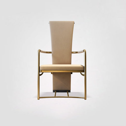 轻奢主人椅家用现代简约高端休闲