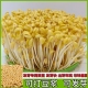 黄豆打豆浆干货大豆芽黄豆整箱发货发豆芽新黄豆生黄豆芽