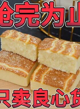 椰蓉芝士蛋糕面包整箱营养早餐糕