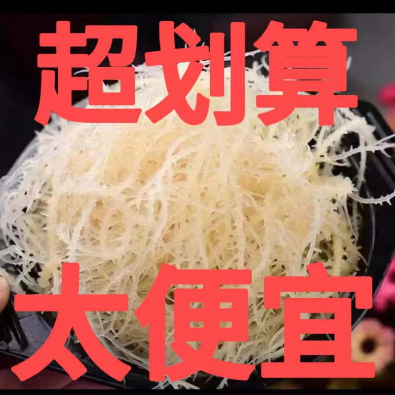 龙须菜干货鹿角菜海石花菜海产海藻素食凉拌菜干到扎手