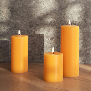 Erik Ester 3D仿真LED电子蜡烛高级石蜡圆柱形进口 2025新色系