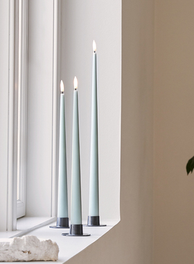 【2025新色系】Ester&Erik | LED电子蜡烛进口3D仿真枝形石蜡进口