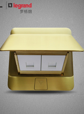 TCL罗格朗插座液压缓冲式黄铜电话电脑地插正品（不含底盒）