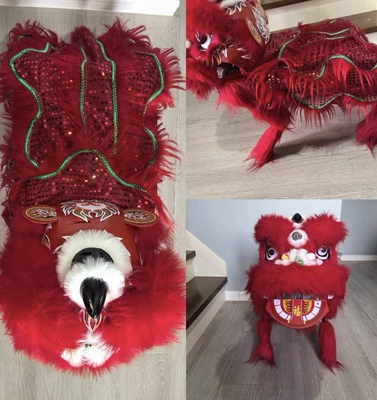 unitree宇树机器狗智能宇树GO2云深处蔚蓝智元狮子狗醒狮服定制