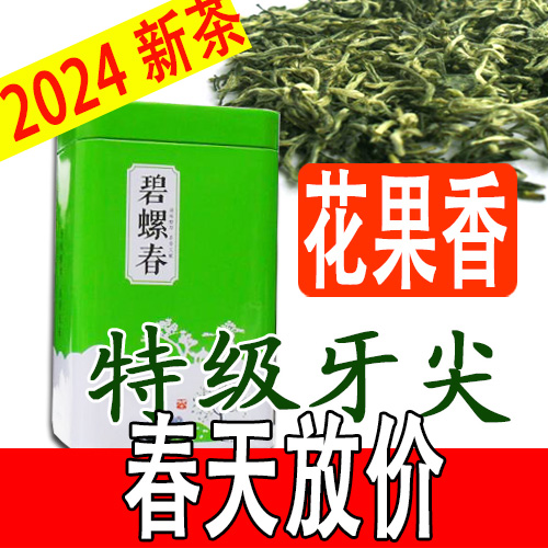 碧螺春2024新茶 绿茶浓香 明前特级茶叶 嫩芽毛尖250克 苏州特产 茶 碧螺春 原图主图