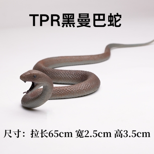 新款实心仿真野生动物蛇玩具黑曼巴眼镜王蛇虎蛇模型两栖爬行动物