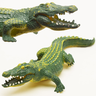 仿真实心鳄鱼模型软胶扬子鳄盾鳄短吻鱼玩具装饰摆件儿童认知道具