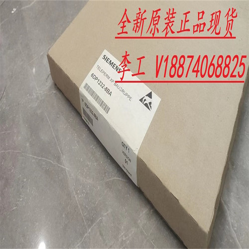全新原装正品西门子SIMADYN D 扩展模块6DD1601-0AH0