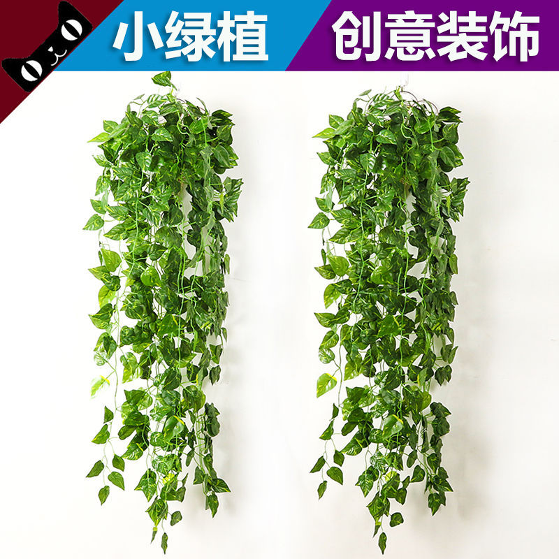 室内装饰塑料树叶绿萝仿真植物