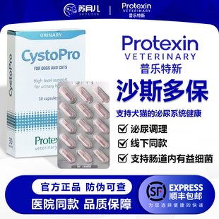 英国沙斯多保犬猫狗泌尿痛利尿通结石尿频血感染沙司多保尿道保护