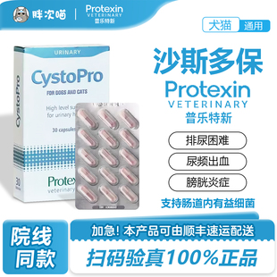 英国沙斯多保犬猫狗泌尿痛利尿通结石尿频血感染沙司多保尿道保护