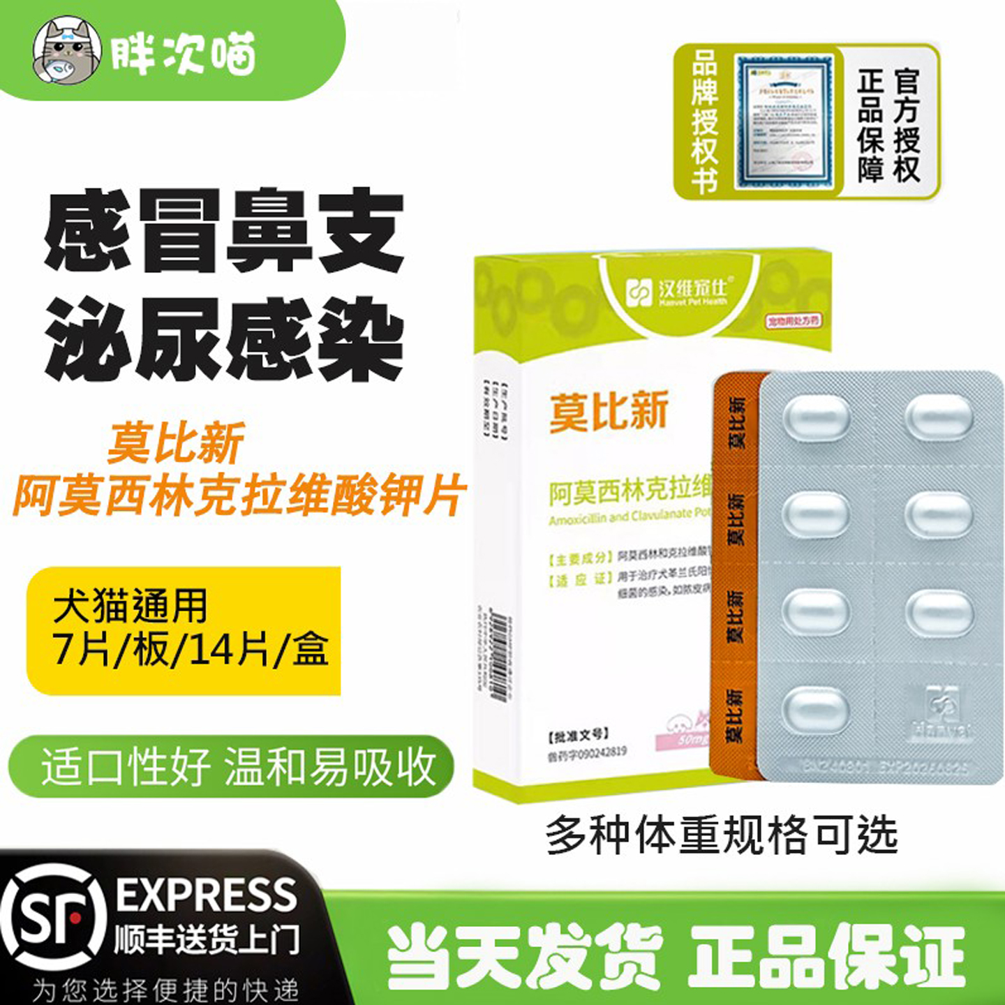 鼻支感冒消炎药片莫比新