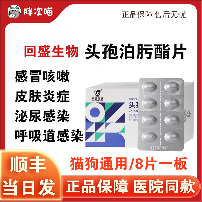 回盛生物头孢泊肟酯片感冒皮肤病泌尿感染猫咪狗狗消炎药羟氨苄片