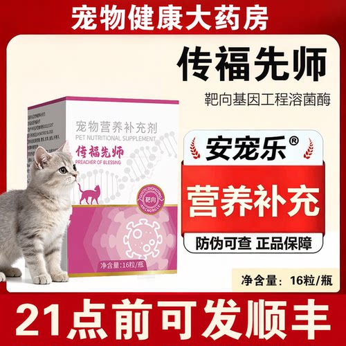 宜宠传福先师传腹营养补充剂