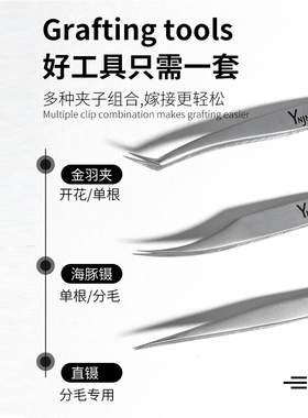樱井魔方高精密开花金羽镊直镊超高密度海豚夹美睫师工具专用镊子