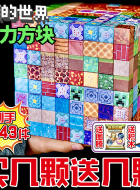 新款我的世界玩具磁力方块磁铁磁性积木儿童益智拼装男孩礼物DIY