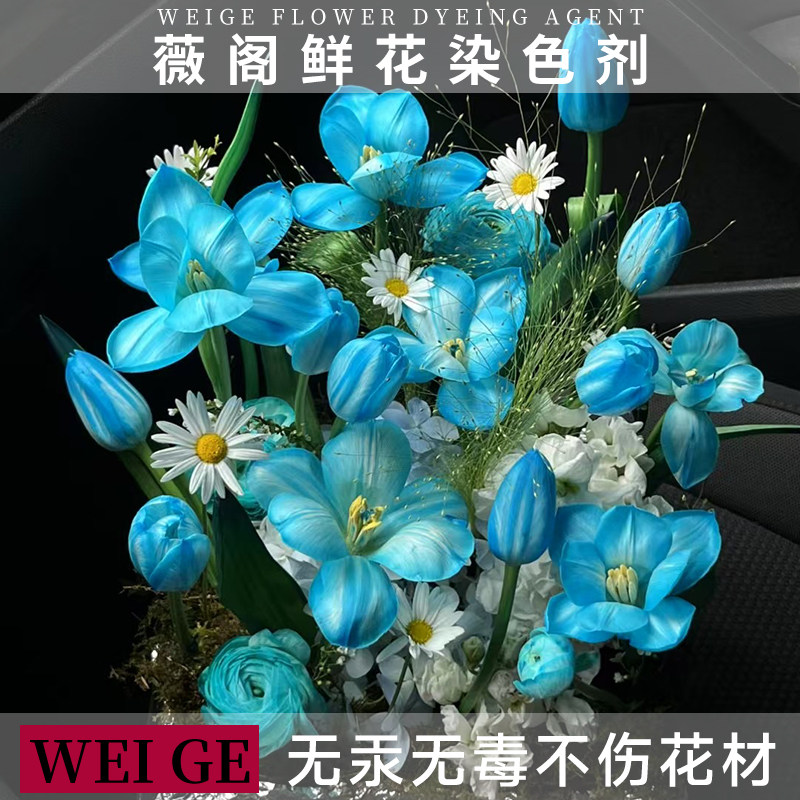 薇阁鲜花染色剂吸色剂蓝色系列环保无汞花店专用吸染剂花艺手工料