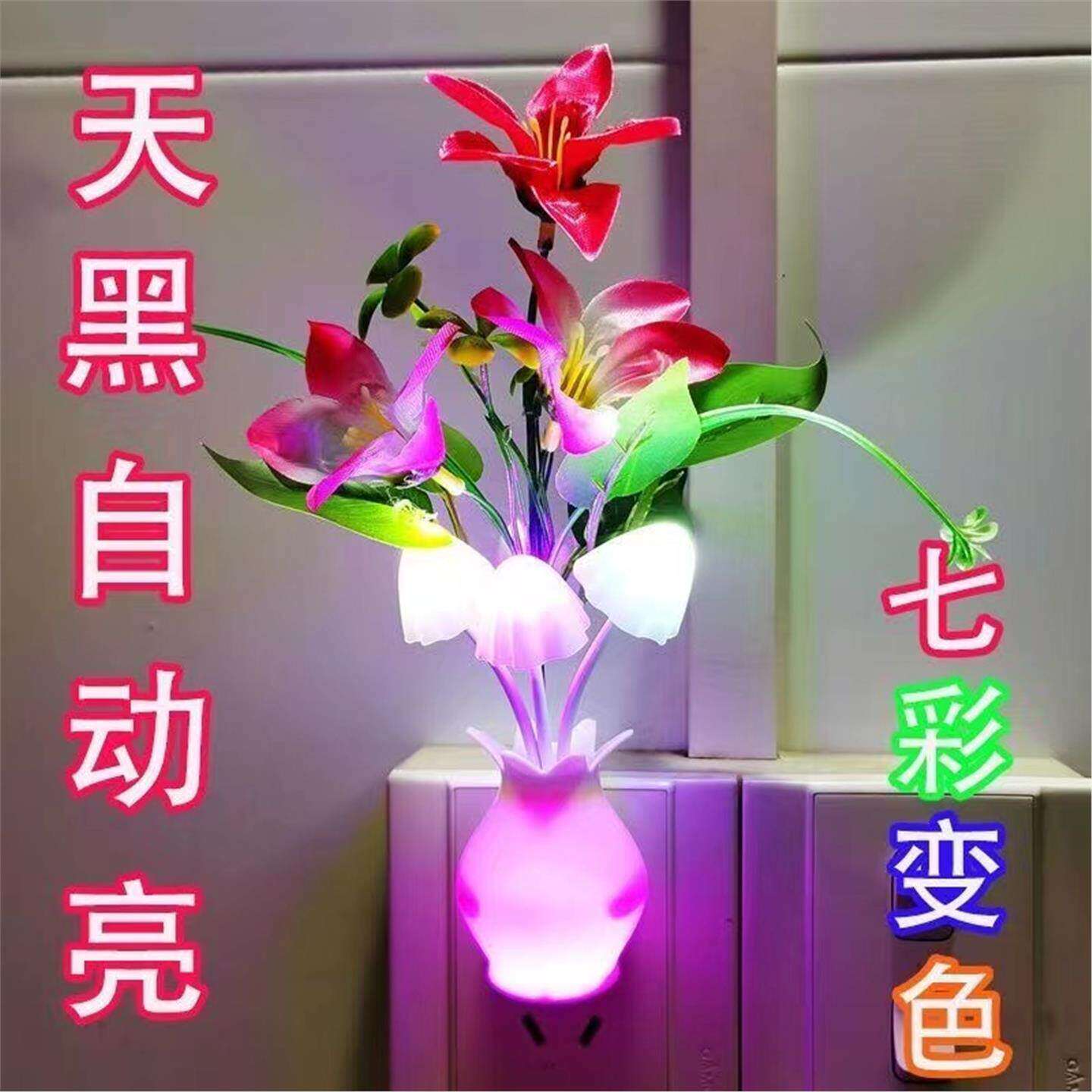 光控小夜灯自动感应护眼七彩灯LED节能卧室床头灯过道夜灯