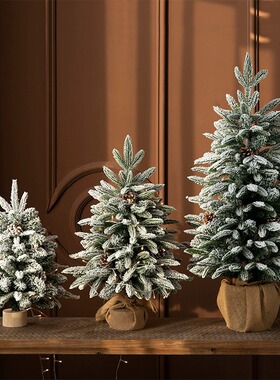Christmas Tree Christmas Cedar Green Environmental Protectio