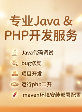 java代码调试bug修复项目开发运行php二开maven环境安装部署配置