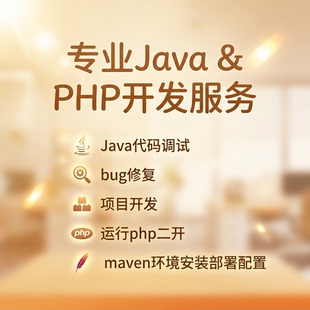 java代码调试bug修复项目开发运行php二开maven环境安装部署配置