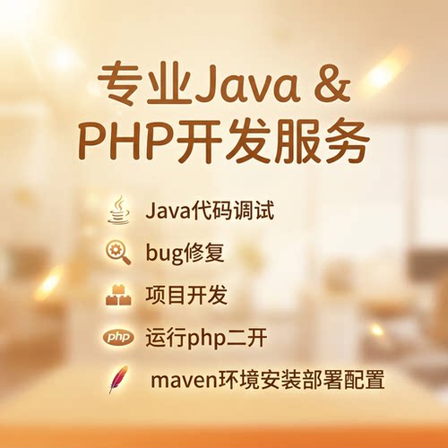 java代码调试bug修复项目开发运行php二开maven环境安装部署配置
