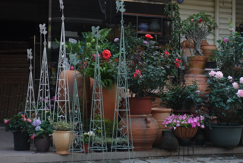 促销包邮美式乡村风格圆形爬藤