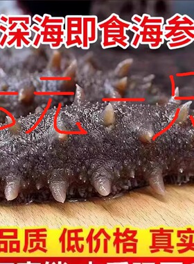 2斤/6斤即食海参开袋即食海参独立装鲜食开袋即食顺丰