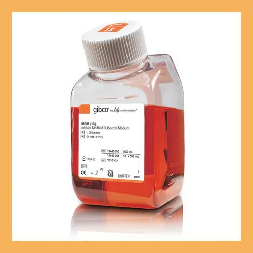 Gibco原装进口 IMDM培养基 12440053赛默飞