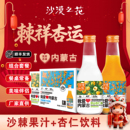 沙漠之花我爱内蒙古特产沙棘果汁杏仁露组合饮品特色果汁饮料