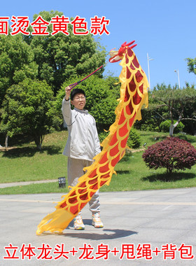 甩龙舞龙彩带健身广场耍龙带中老年舞龙初学儿童舞龙立体龙舞龙