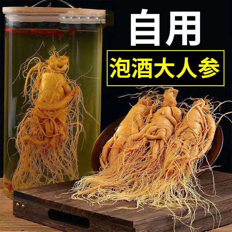 长白山新鲜人参 保鲜参园参单支泡酒煲汤新鲜特大人参