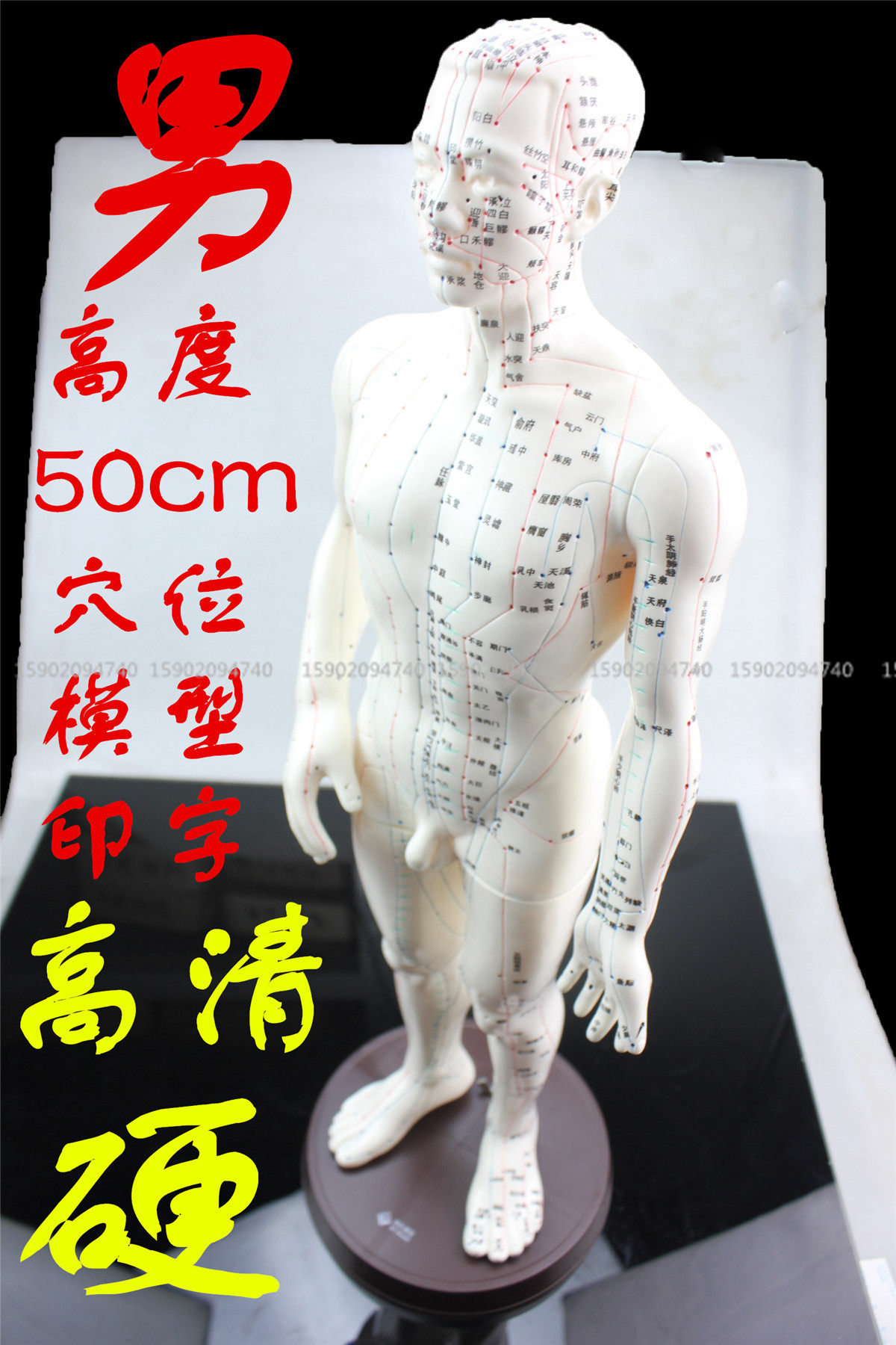 中医教学人体针灸经血模型中医经络高清模型超清男士穴位硬模型