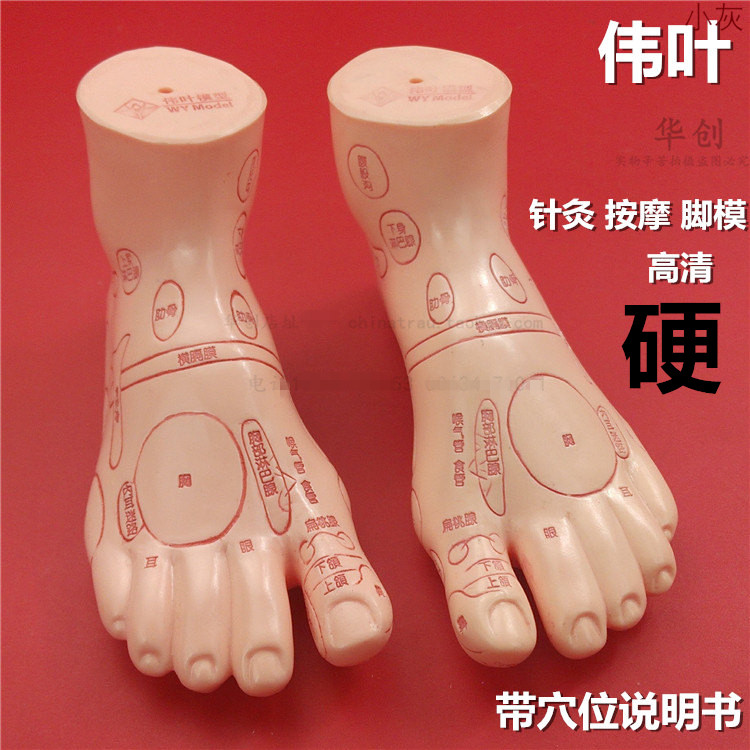医用伟叶超清晰经络通足模足部反射区模型足疗穴位模型按摩脚模型