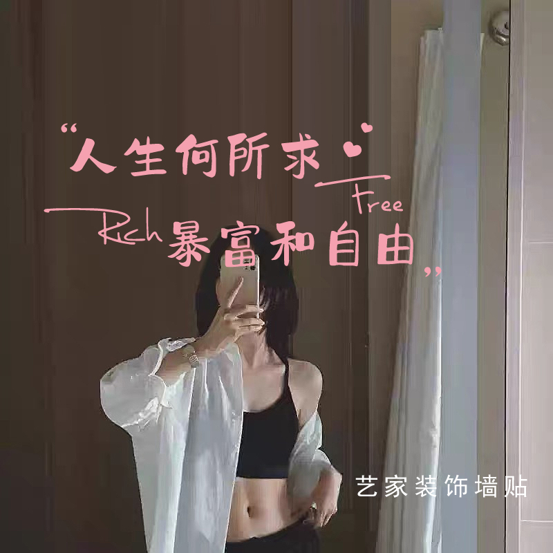 人生何所求财富和自由文字贴纸
