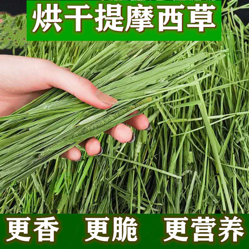 龙猫用品25年烘干提摩西草北提草兔子龙猫荷兰猪特级牧草饲料干草