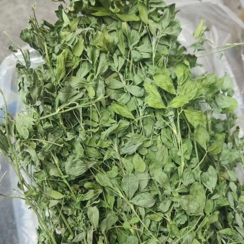龙猫用品紫花苜蓿草干草幼兔宠物兔子龙猫荷兰猪牧草饲料专用零食,宠物/宠物食品及用品,兔兔零食,淘宝优惠券,粉丝福利购,淘宝优惠卷