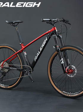 RALEIGH兰令MTH TEAM山地自行车铝合金架12速油碟气叉单车