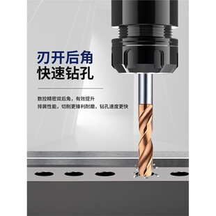 3.8 3.2 3.5 3.6 3.4 3.1 3.3 3.9 合金麻花钻头加长120L 3.7