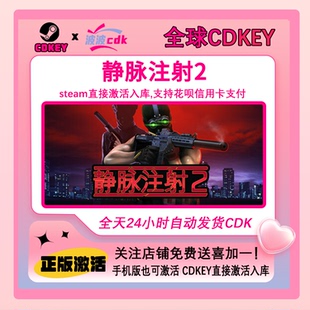 静脉注射2 Intravenous 全球激活 激活码 CDKEY Steam正版