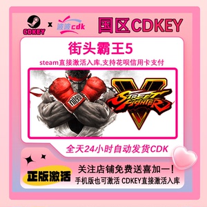 街头霸王5 冠军版 Steam正版Cdkey国区激活码 Street Fighter V