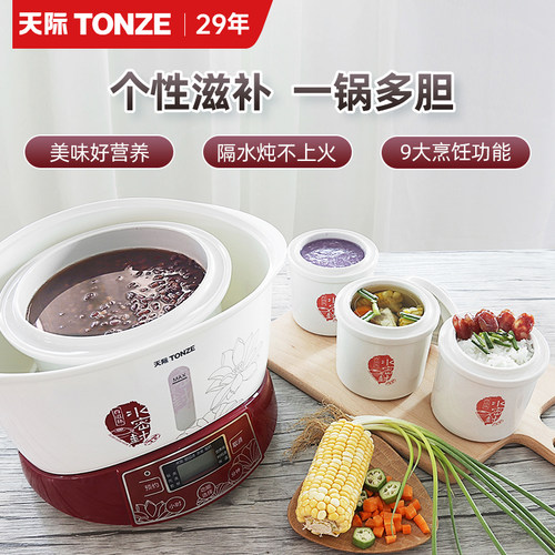 天际家用多功能隔水炖炖锅全自动