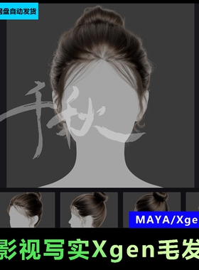 21-maya头发xgen女性毛发国风现代美女人物角色丸子头发型3D模型